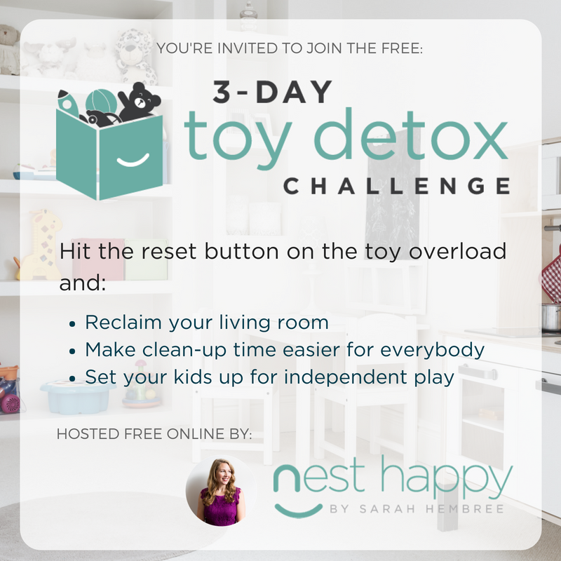 3-Day Toy Detox Challenge - Nest Happy